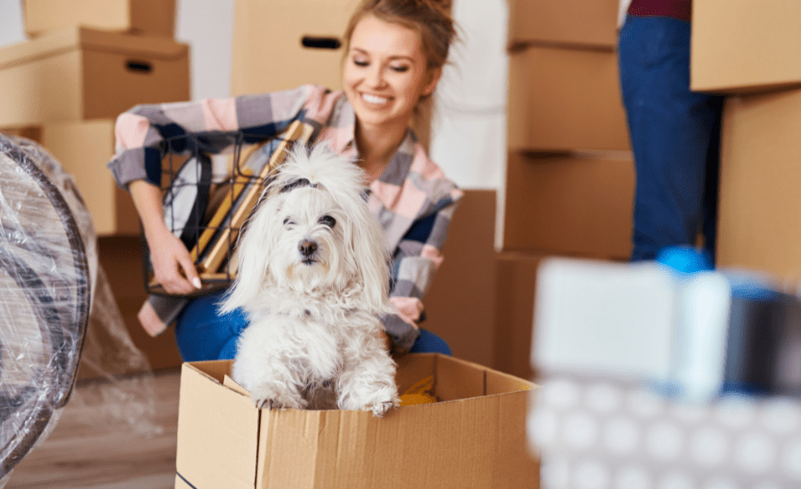 June Blog 23 (900 × 550 px) (1) moving with dogs