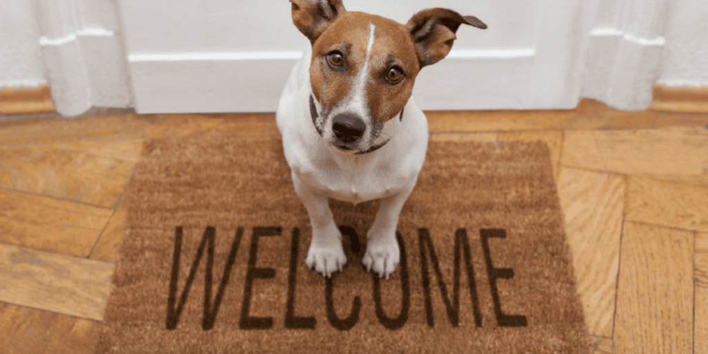 moving with dogs Guest Post - Moving w Dogs, welcome home